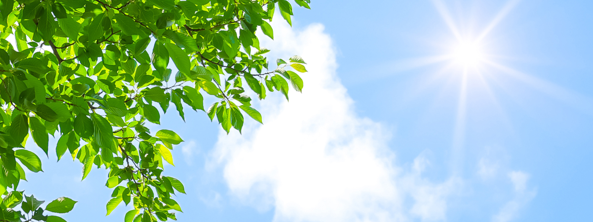 笠井整形外科医院 交通事故治療リハビリ専門サイト